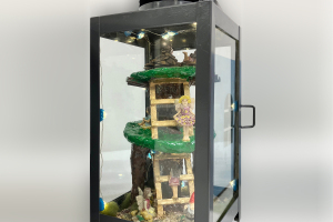 2025image38-1